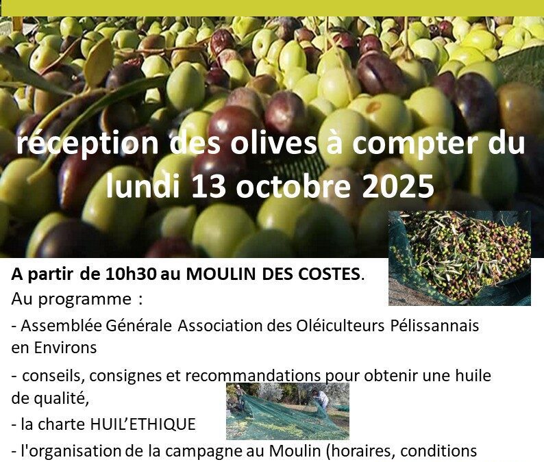 Lancement des Olivades 2025