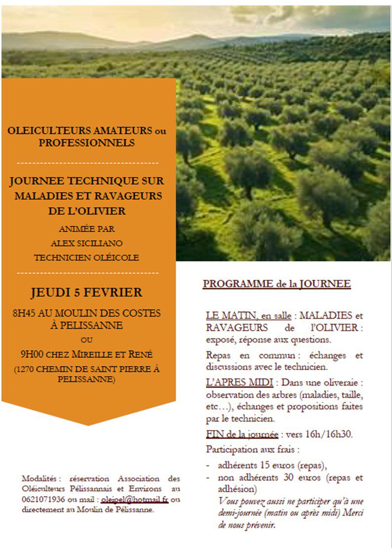 JOURNEE TECHNIQUE sur MALADIES et RAVAGEURS de l’OLIVIER